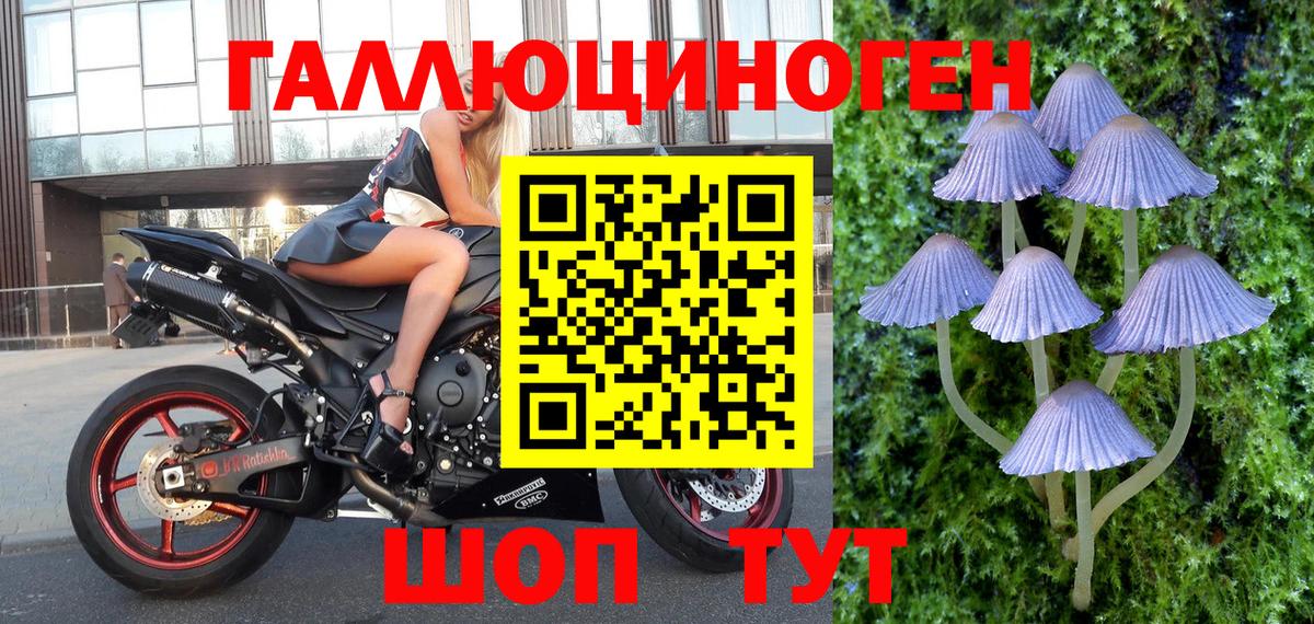 Галлюциногенные грибы мицелий Топки